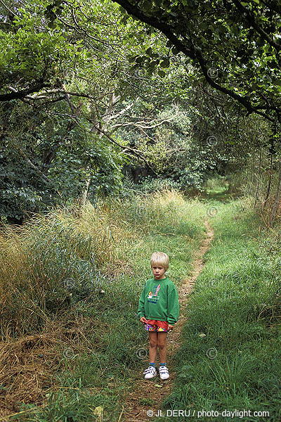 petit garon dans une prairie - little boy in a meadow